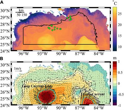 Submesoscale Mixing Across the Mixed Layer in the Gulf of Mexico